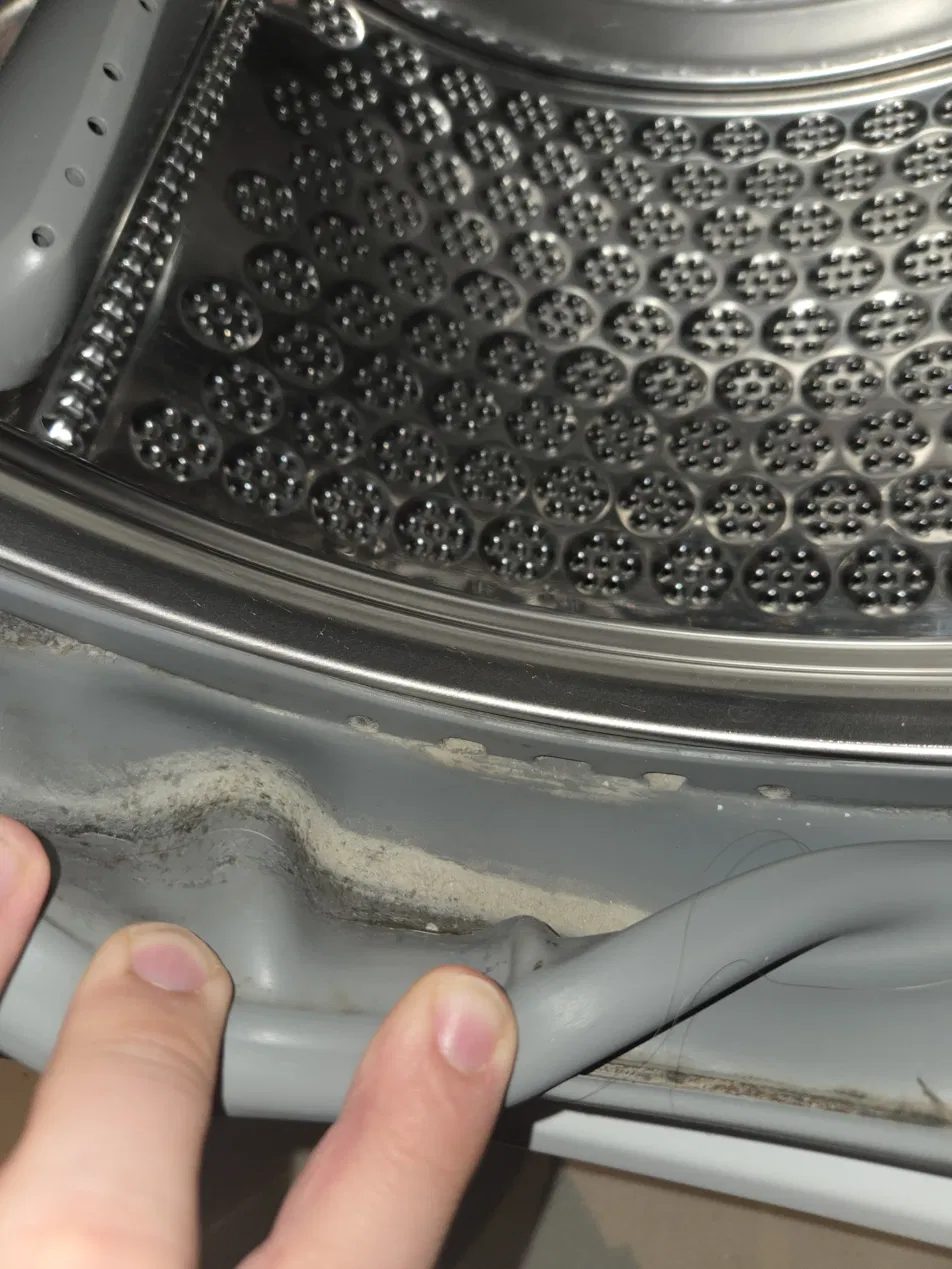 Washing machine door seal before cleaning